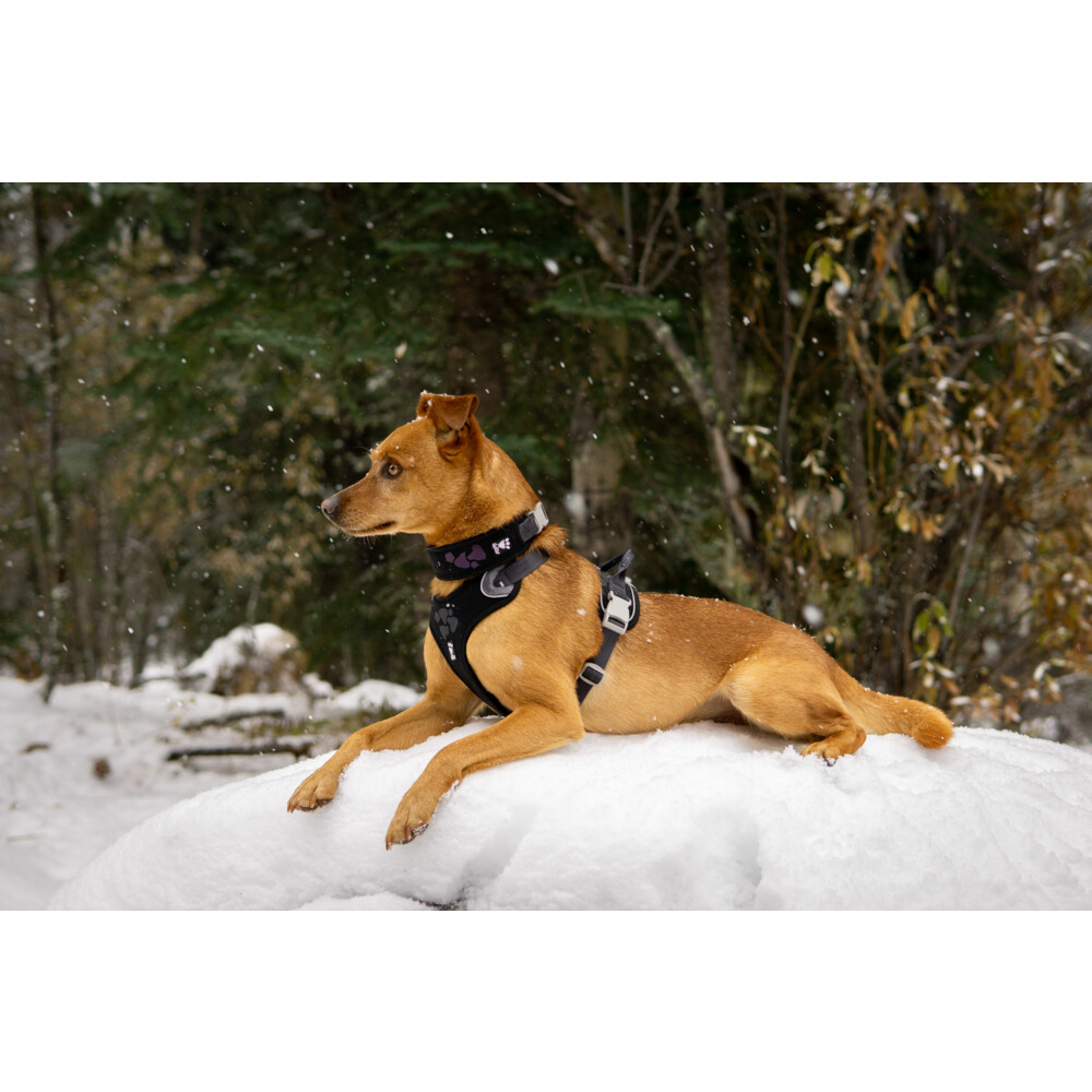 Hurtta Weekend Warrior Harness Zwart45 - 60 cm