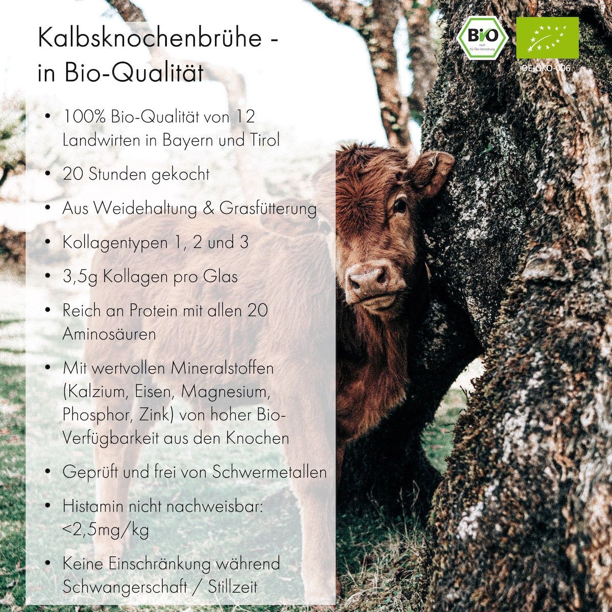 JARMINO Bio Kalbsknochenbrühe