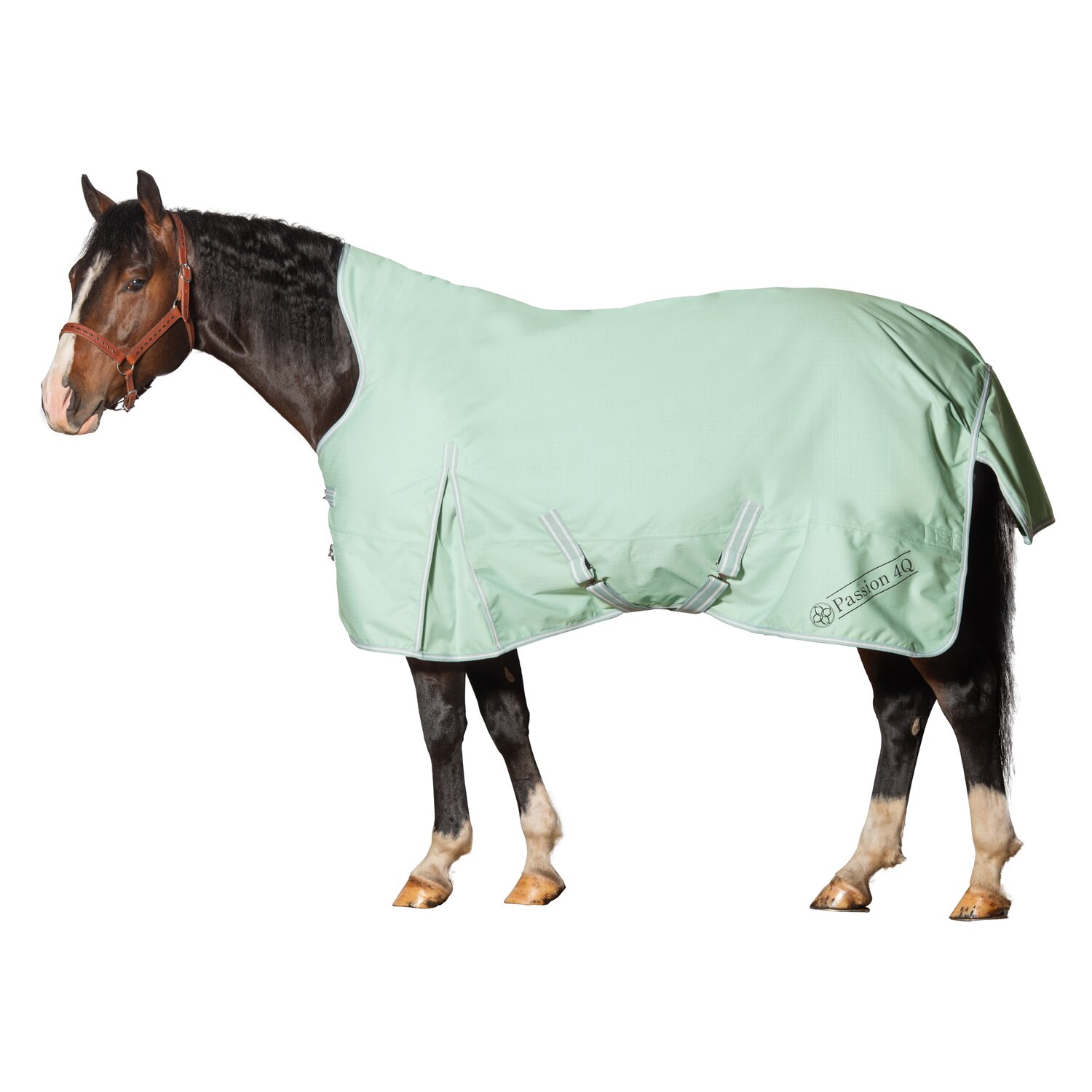 Passion 4Q Outdoordecke - light aqua