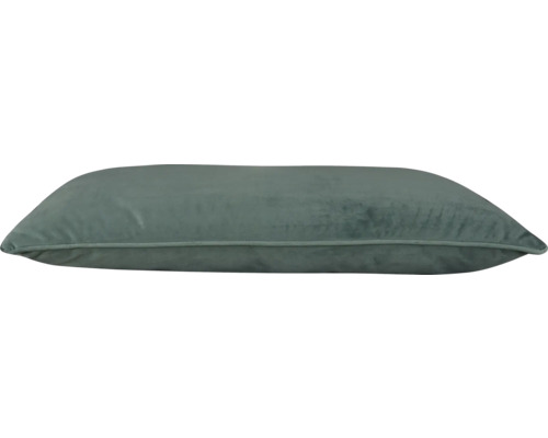 Decoratief kussen Fluweel mint 40x60 cm