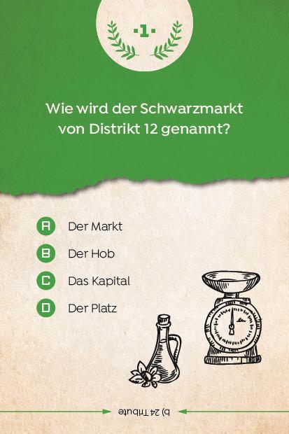 Kartenspiel: Das inoffizielle Quiz für Tribute von Panem-Fans