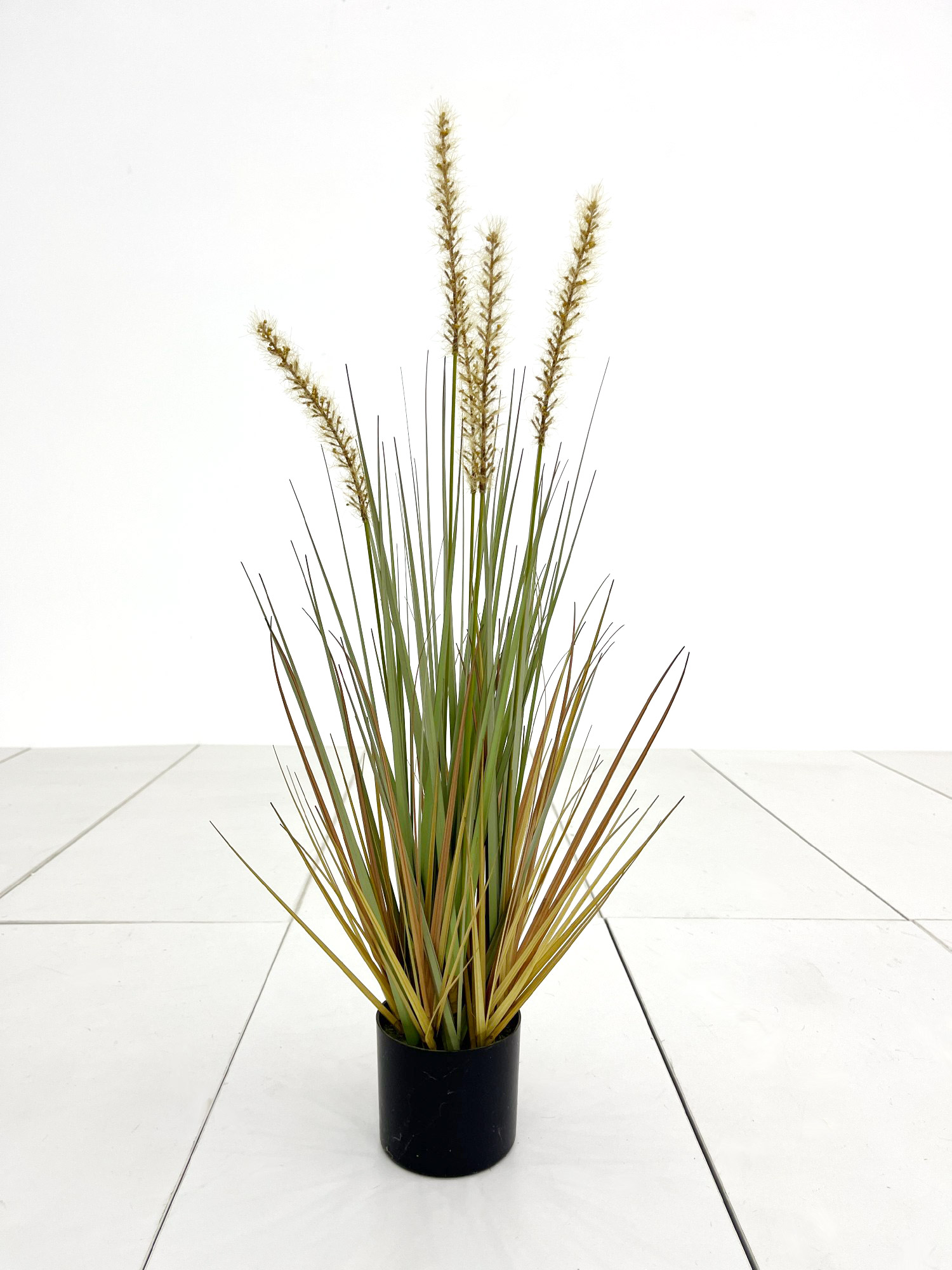 Lampenputzergras, grün, H 68 cm, Ø 11 cm von fischer's lagerhaus