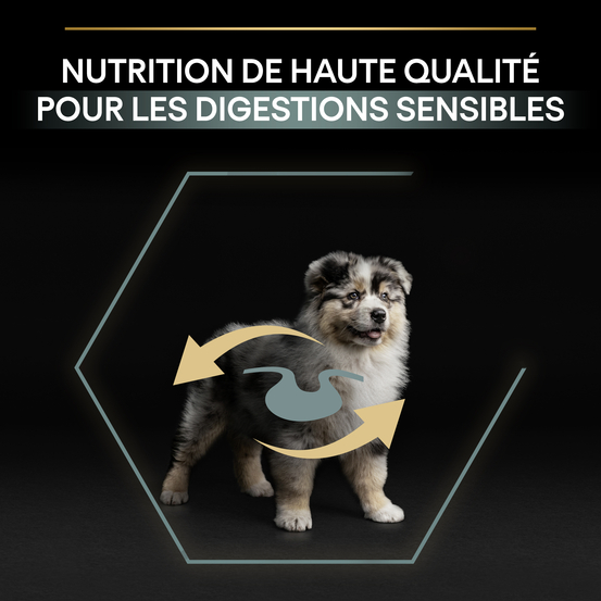 Croquettes chien junior de taille moyenne digestion difficile - 3 kg