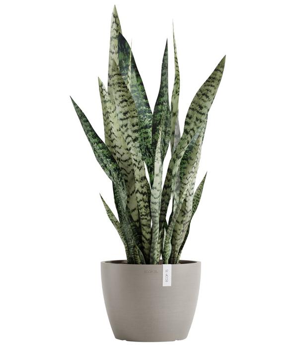 Ecopots Kunststoff-Topf Stockholm, rund
