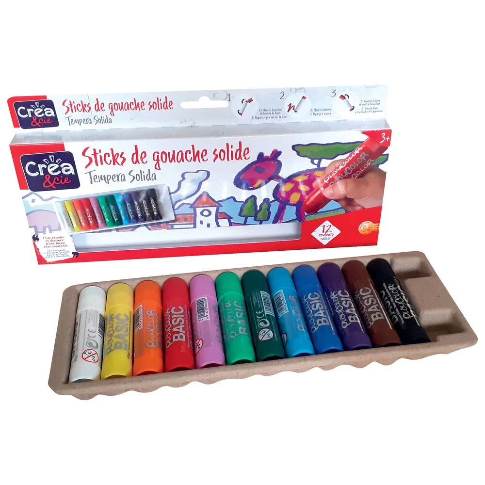 12 STICKS DE PEINTURE  SOLIDE