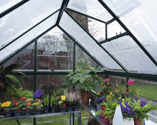 Harmony kas 6x10 polycarbonaat panelen 0,7 mm incl. funderingsframe 306 x 185 cm groen