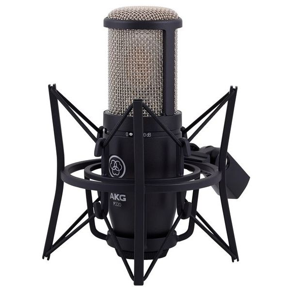 AKG P220