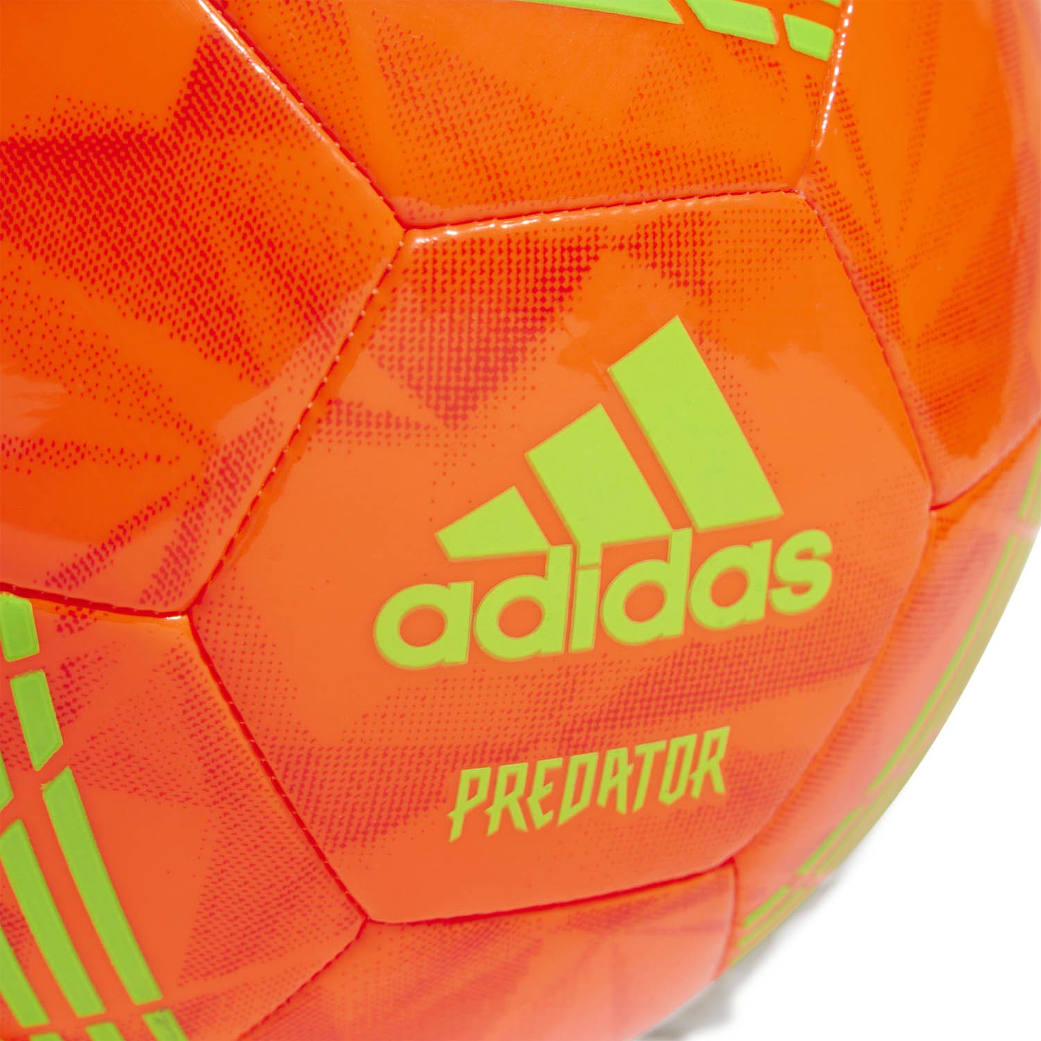 adidas  Predator Training