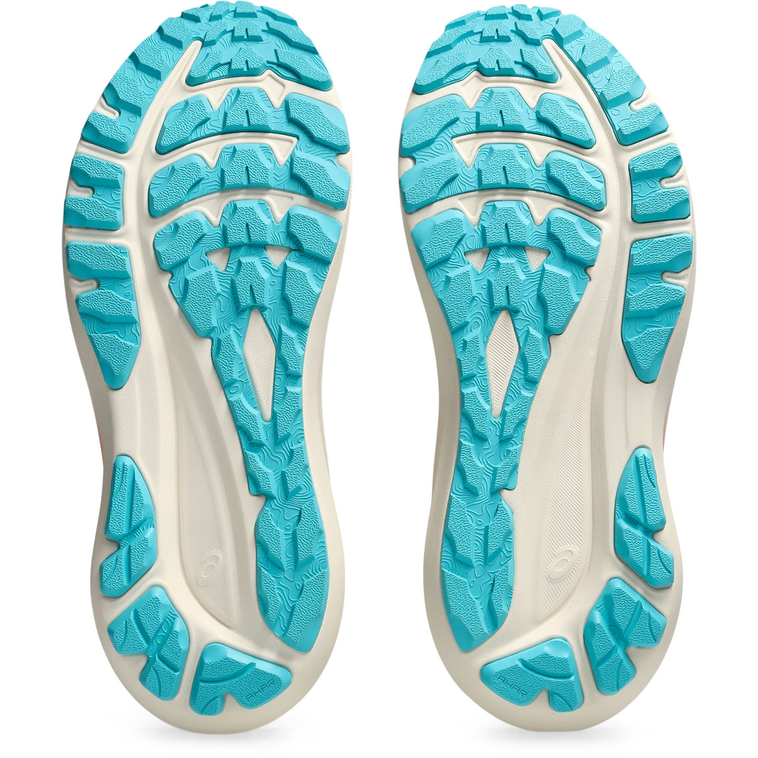 ASICS GT-2000 13 TR Dames