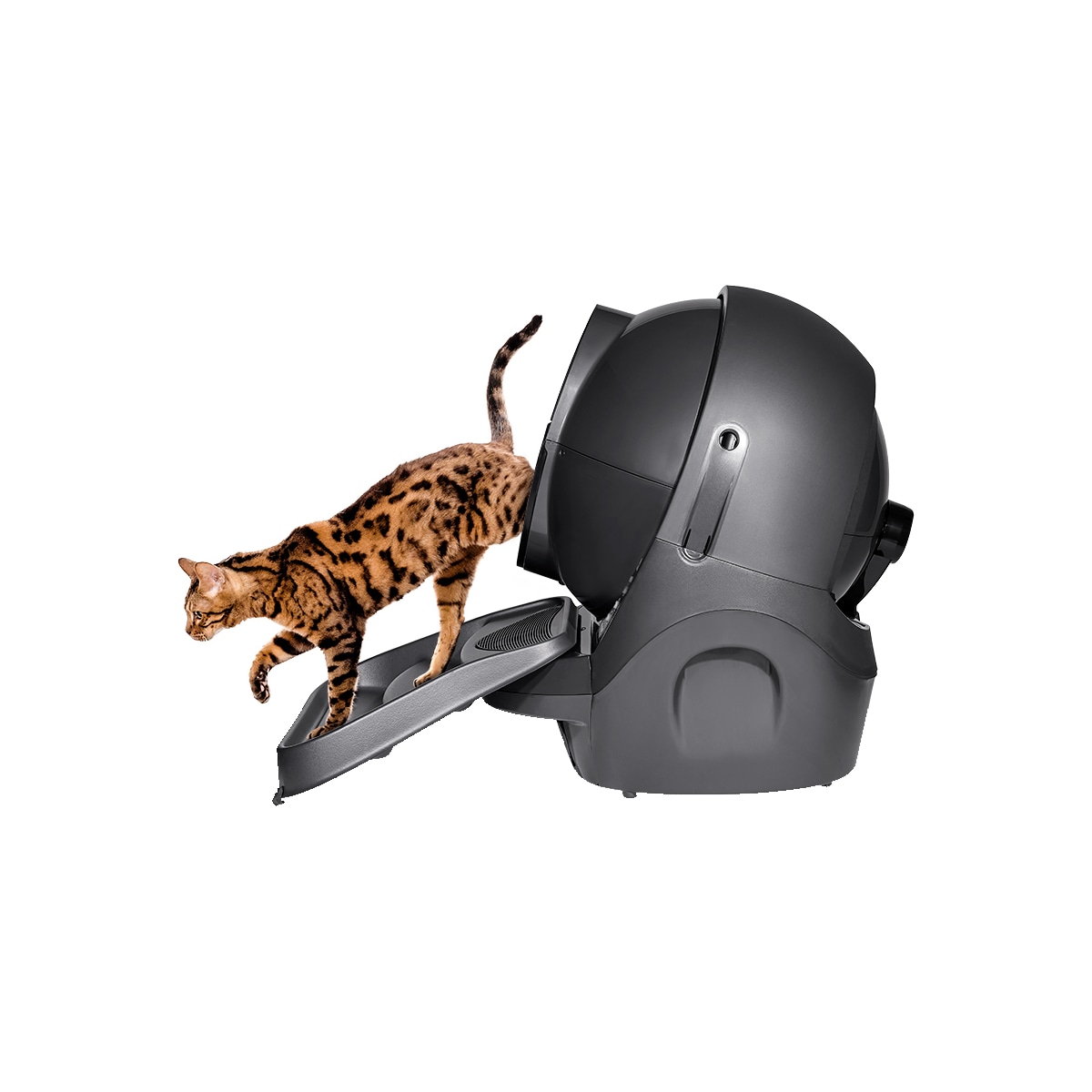 Whisker Litter-Robot 3 rampe (grå)