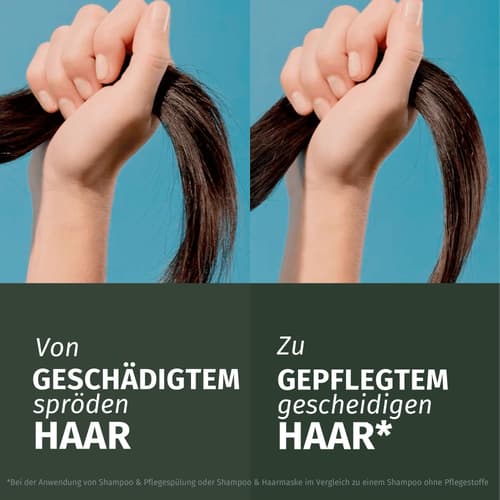 Herbal Essences Repair Pflegespülung mit Arganöl