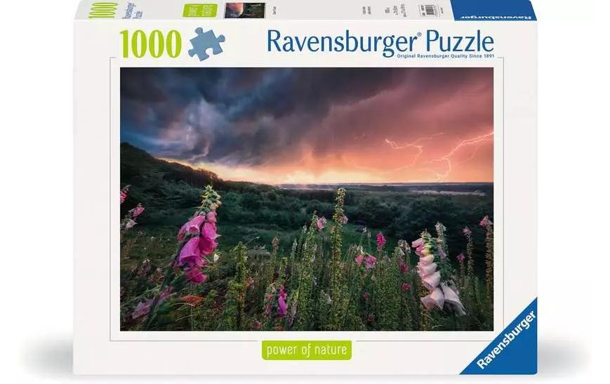 Puzzle Ein Sturm zieht auf 1000 TeileKlassisches Puzzlespiel mit Premium-Qualität