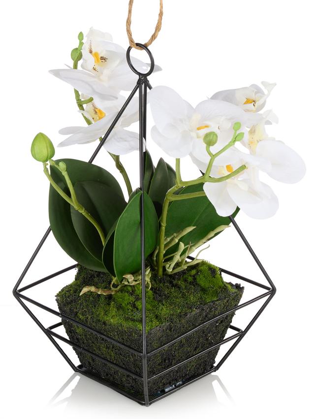 Orchidee Phalaenopsis Hänger inkl. Metallrahmen