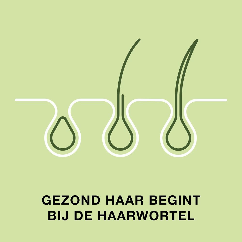 Priorin Haar 120 capsules
