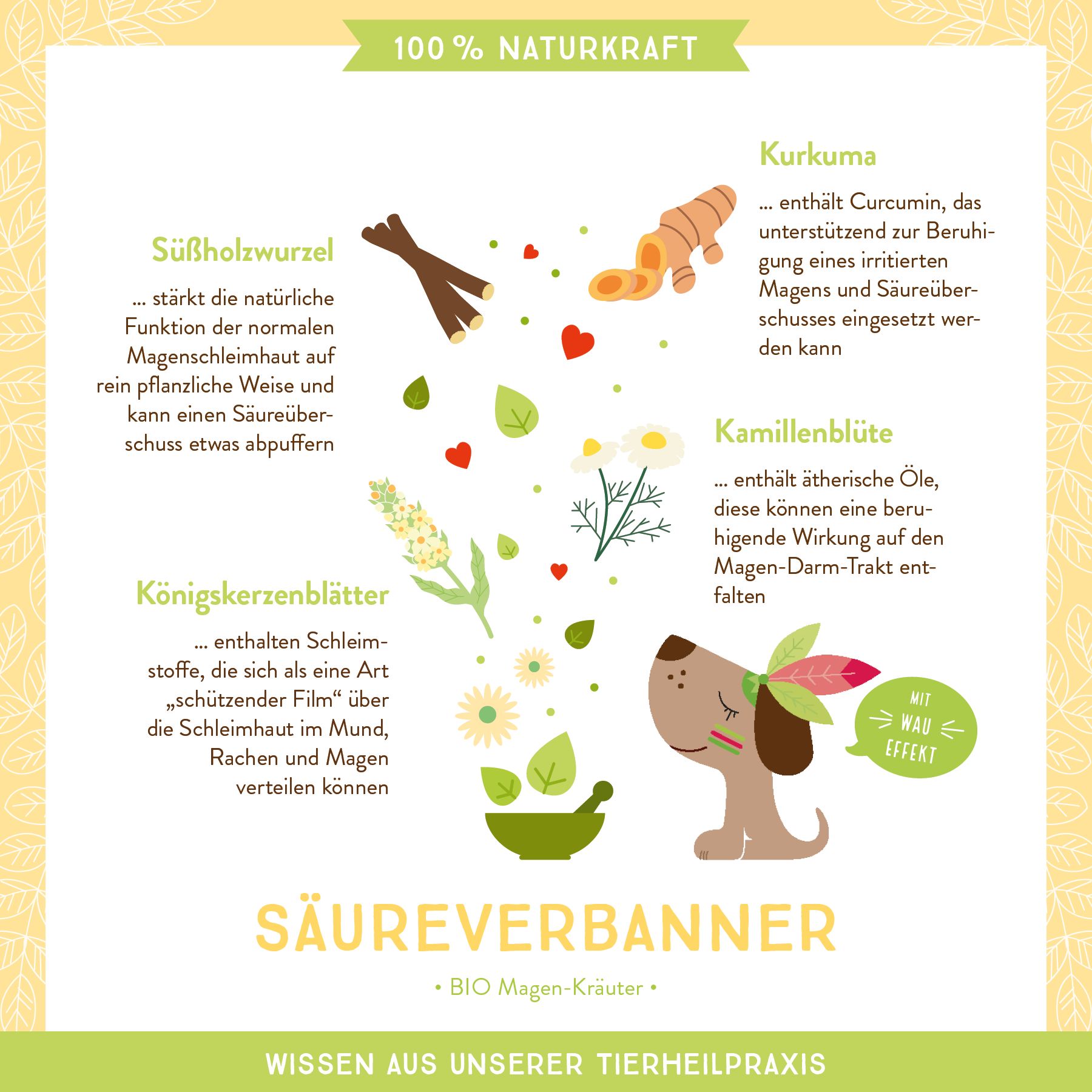 AniCanis Bio Magenkräuter Säureverbanner für Hunde