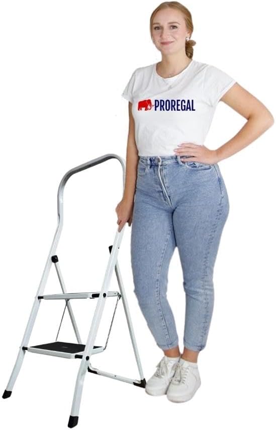 PROREGAL Vouwladder Economy Basic, eenzijdig toegankelijk, 2 treden, werkhoogte 2,46 m, draagvermogen 150 kg