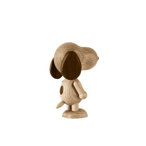 Boyhood Snoopy