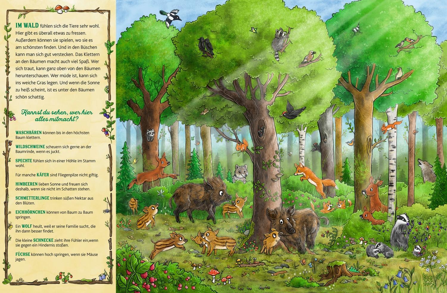 Das große Wald-Wimmelbuch