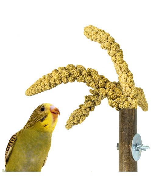 Back Zoo Nature Bamboo Grass Keeper - Vogelspeelgoed - 3x3x20 cm
