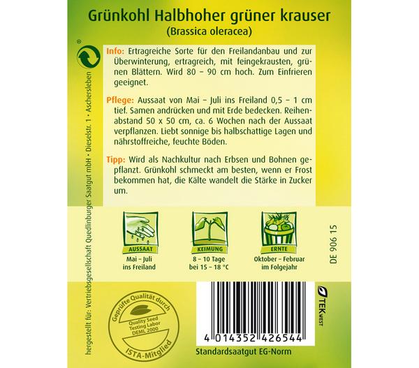 Quedlinburger Samen Grünkohl 'Halbhoher