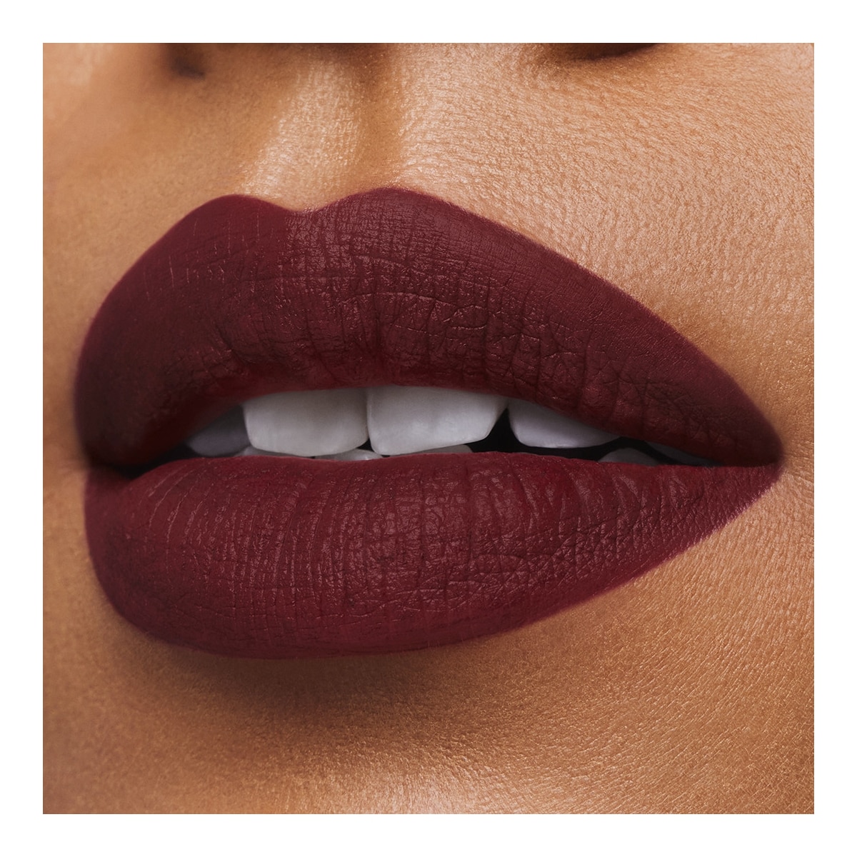 ESTEE LAUDER Pure Color Rouge à Lèvres Mat