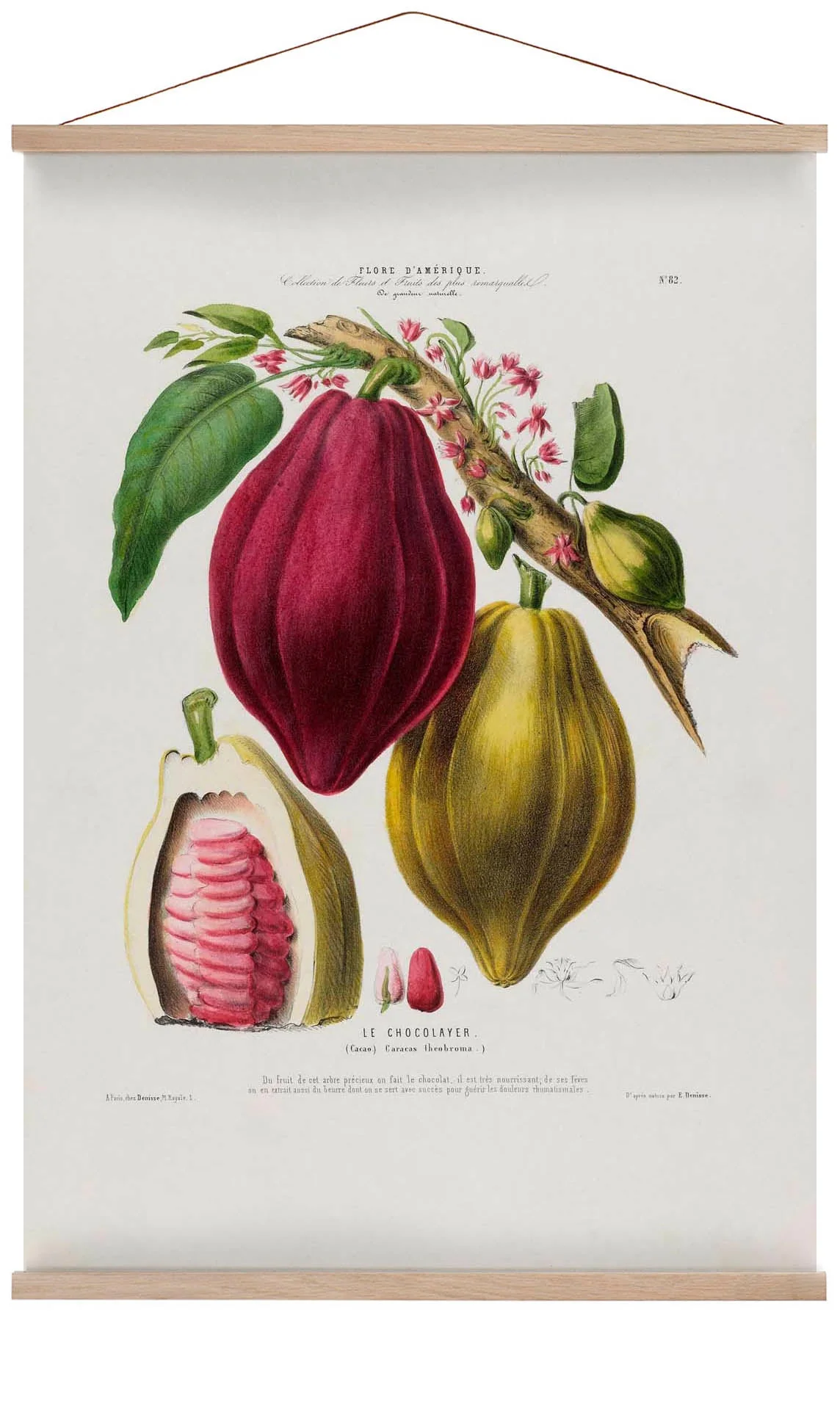 Le Chocolayer