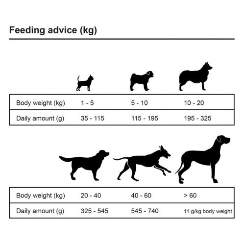 Ração seca Essence para cães adultos, sabor carne