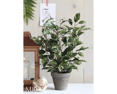 Kunstplant Ficus natasja (treurvijg) Ø 30 H 40 cm groen-veelkleurig