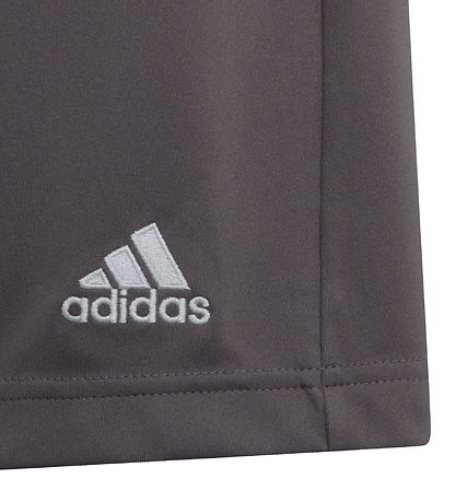 adidas Performance Shorts - Entrada 22 - Grau