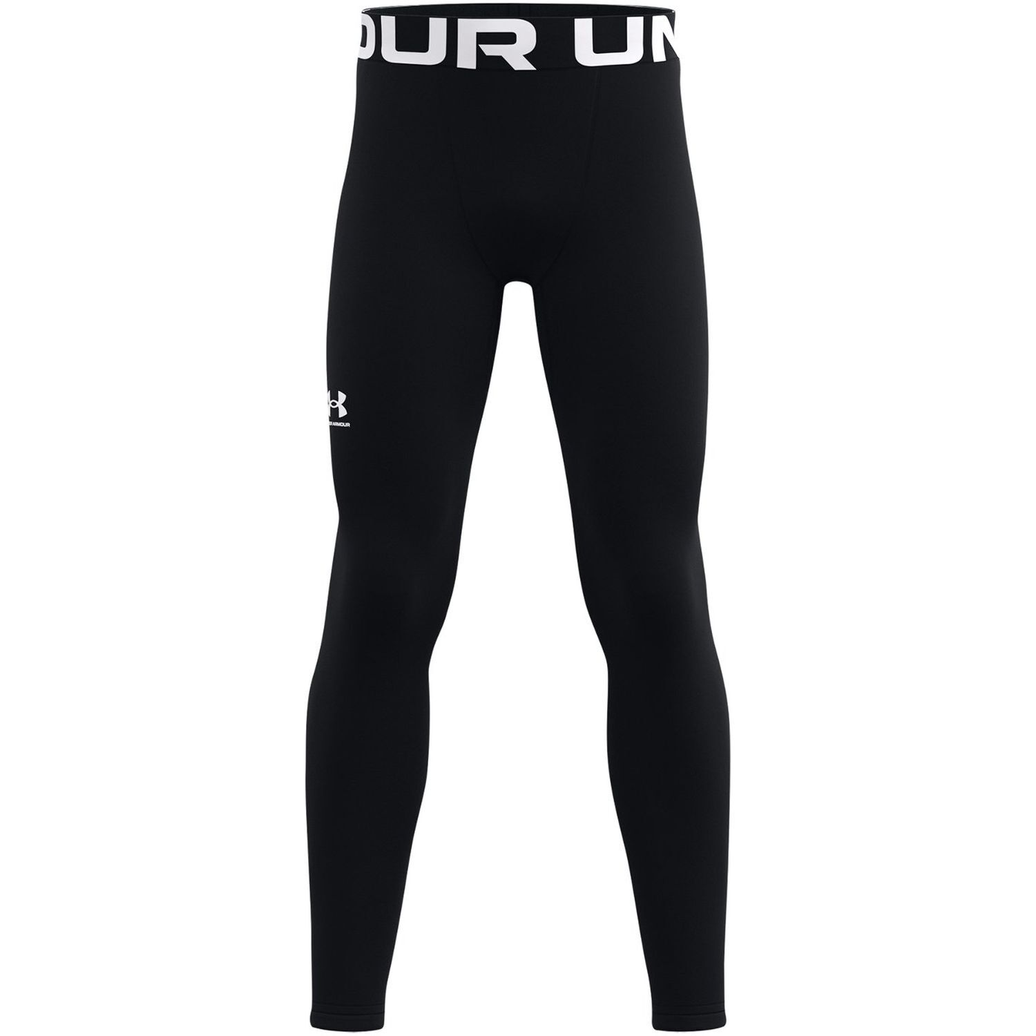 Under ArmourUA CG Armour Leggings K