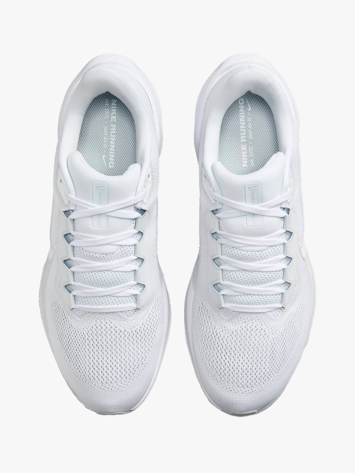 Pegasus 41