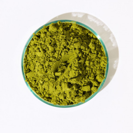 Epycure Laboratoire Poudre drainante Citron 2 mois