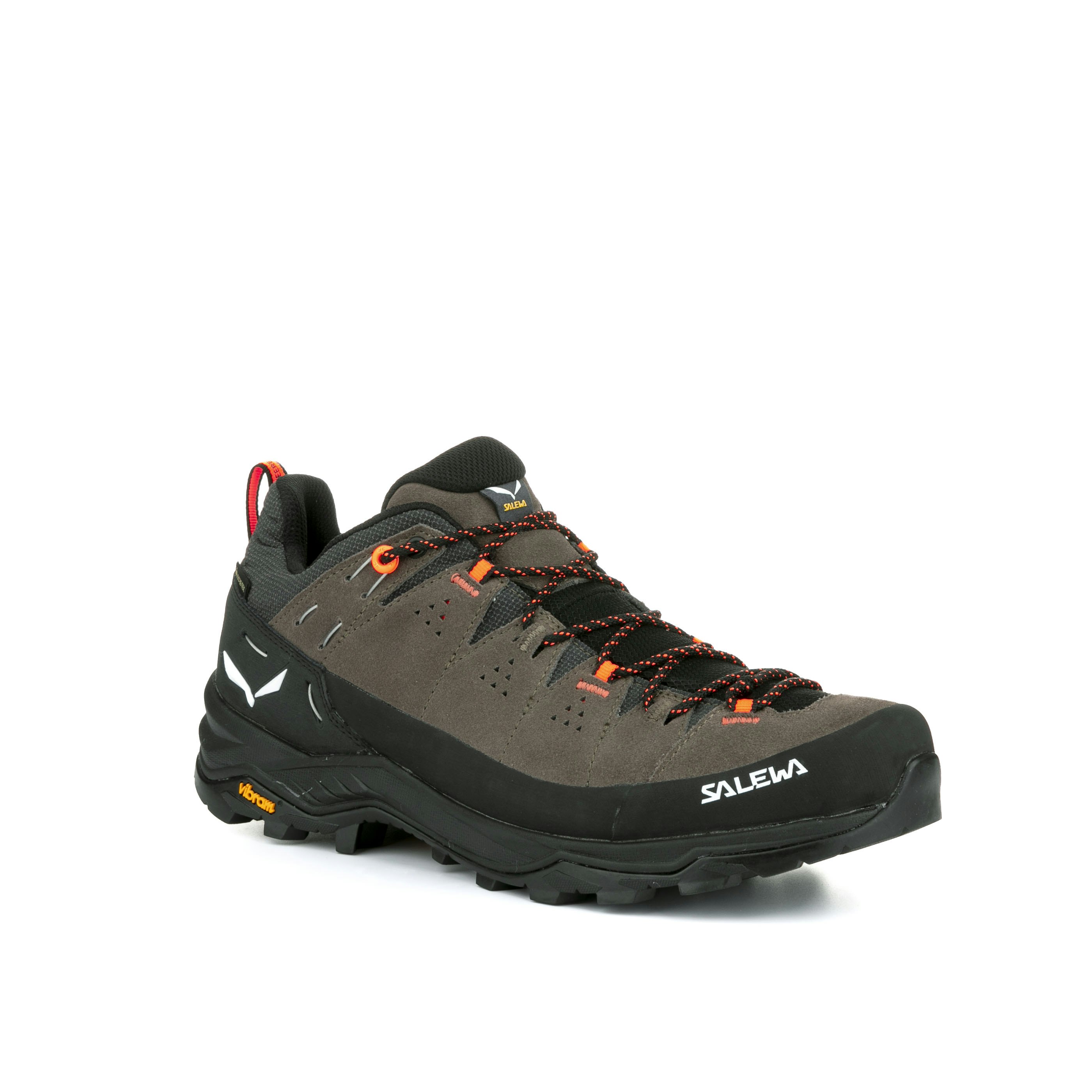 Alp Trainer 2 Gore-Tex® Schuh Herren