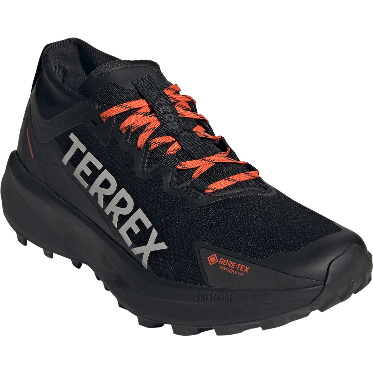 adidas Terrex Agravic GTX Heren