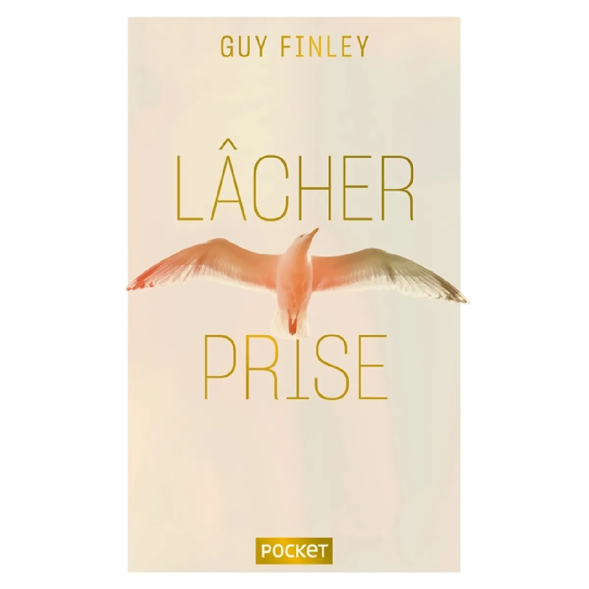 Lâcher prise : la clé de la transformation intérieure · Occasion