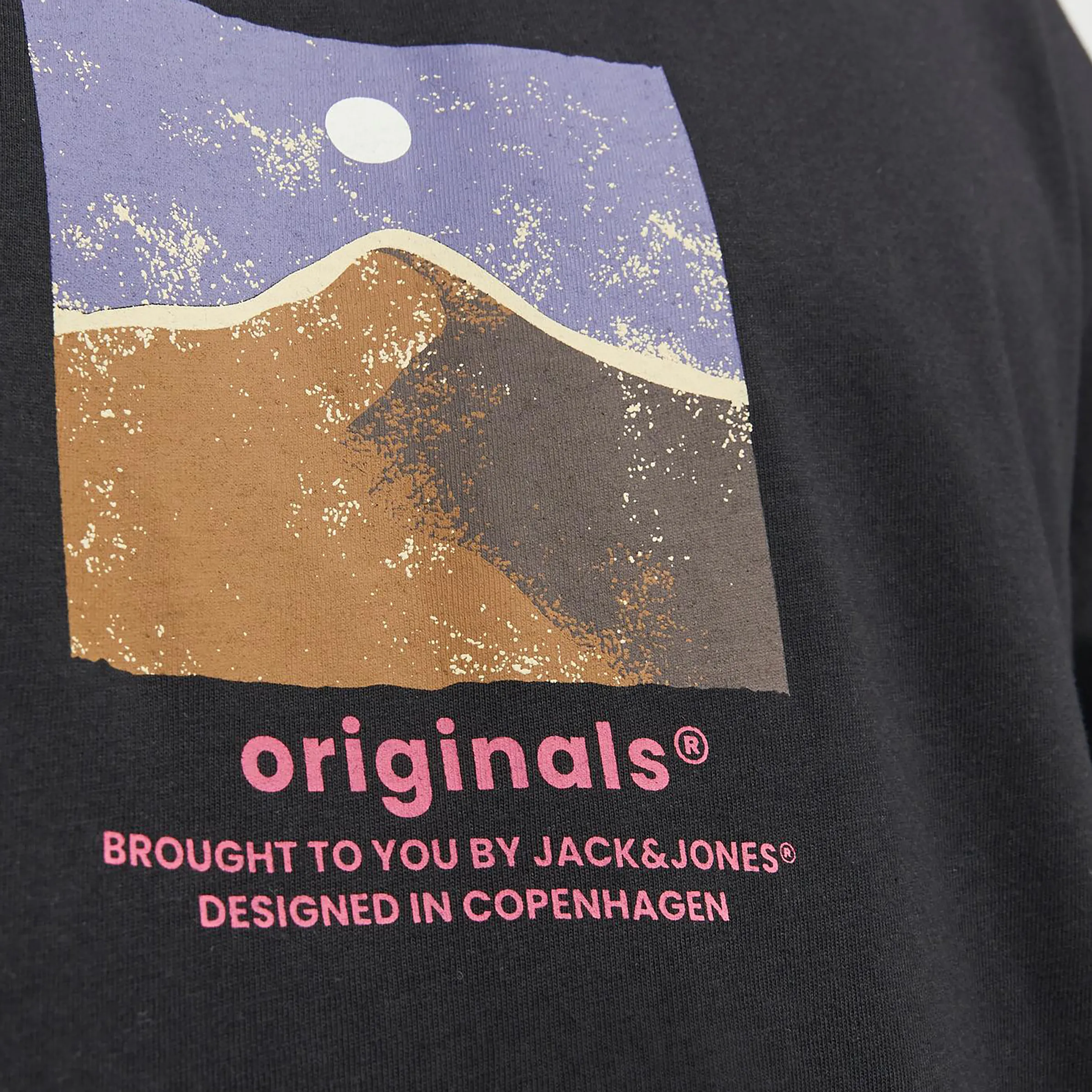 Jack&Jones JORSILVERLAKE GRAPHIC Shirt