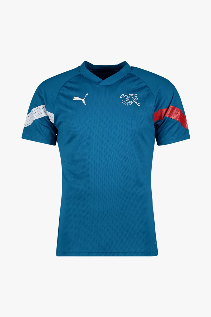 Puma Schweiz Training Herren T-Shirt