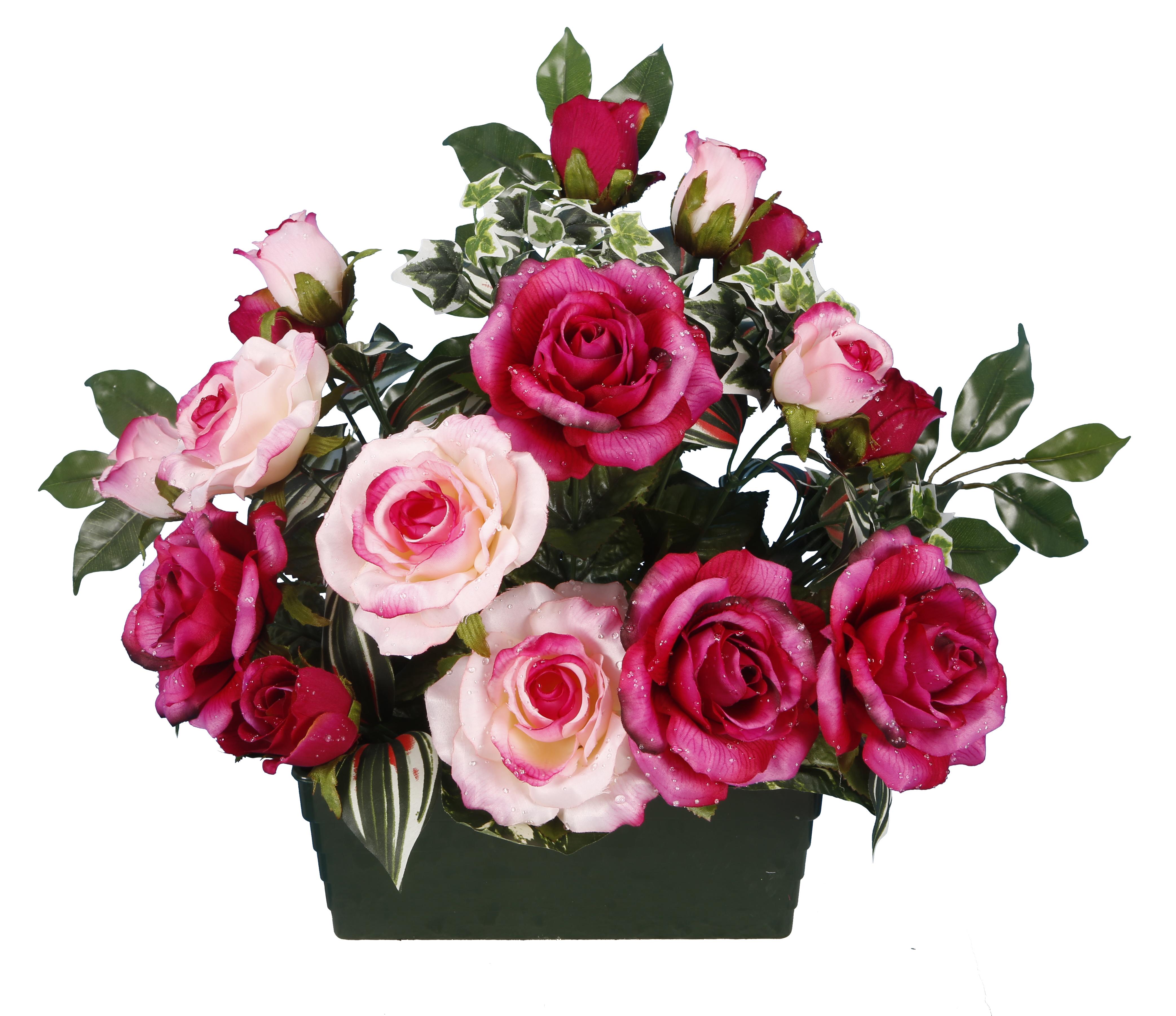 COUPE ROSE BOUTON