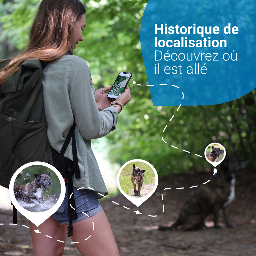 Tractive GPS DOG 4 - collier GPS pour chien avec suivi d'activité - Bleu nuit