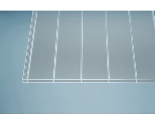 Gutta Acryl Holle Kamerplaat/Dubbelwandige Plaat Panorama 96-16 helder 3500 mm x 980 mm x 16 mm