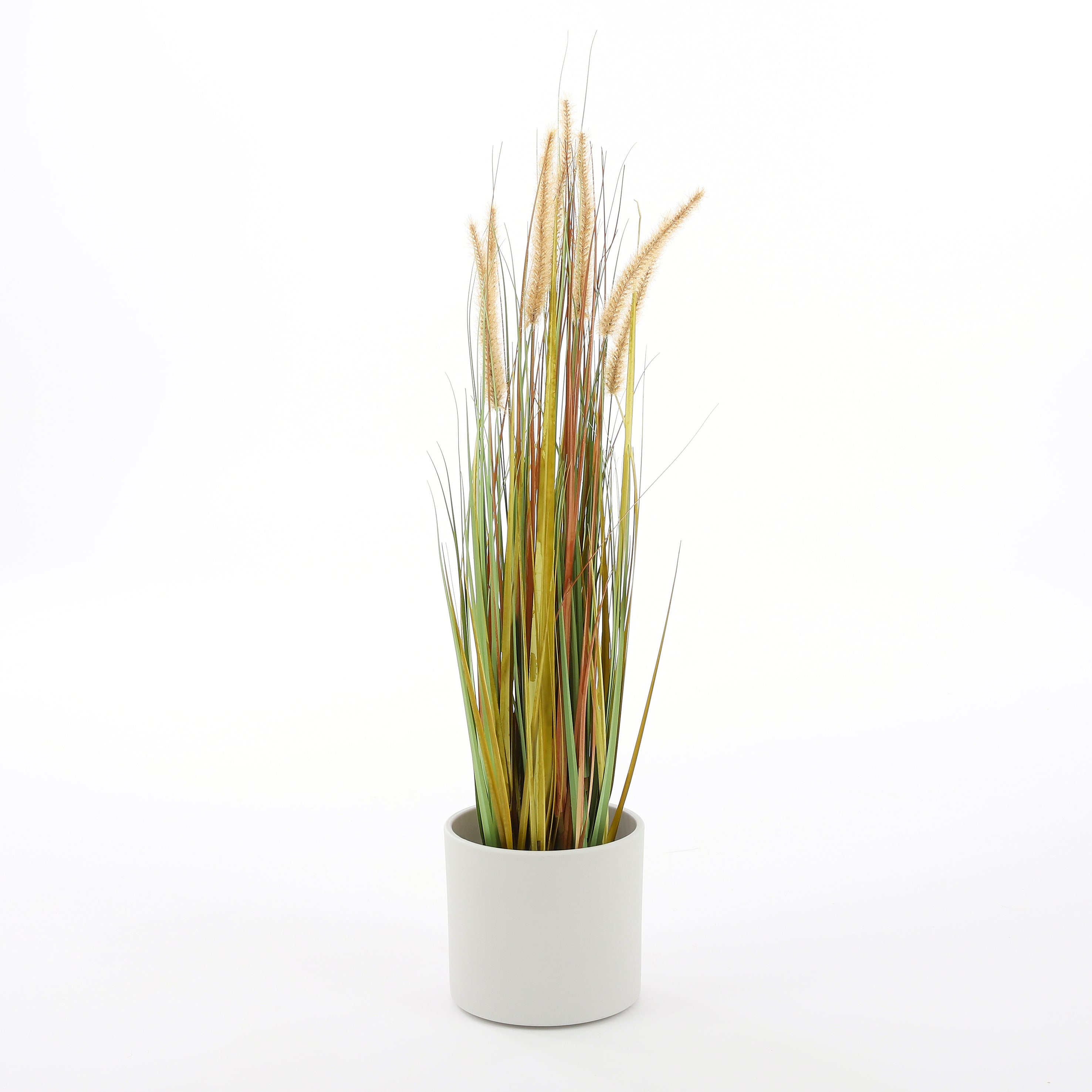 Mica Decorations Pluimgras Dogtail Kunstplant H92 cm
