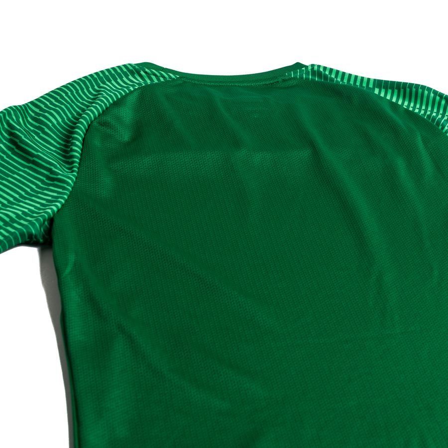 Nike Maillot Dri-FIT Academy - Vert/Blanc