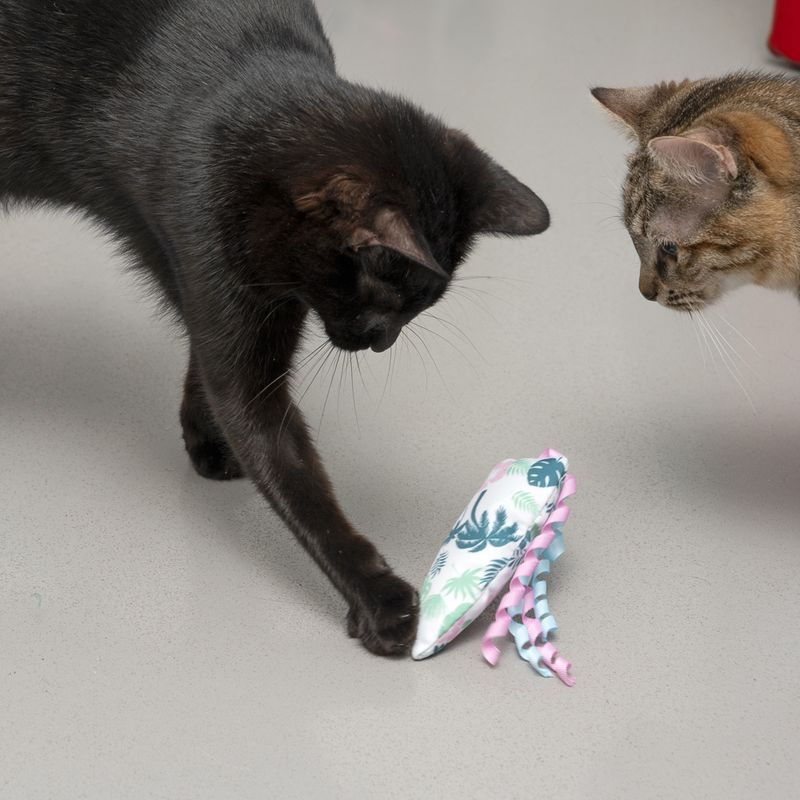 Jouet TIAKI Planche de surf avec menthe à chat