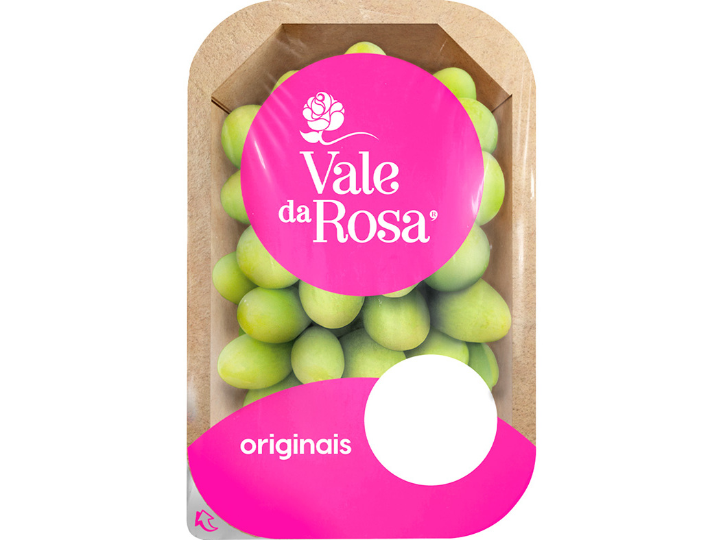 UVA BRANCA VALE DA ROSA SEM GRAINHA 400 G