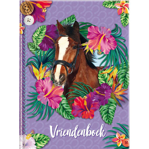 Image books vriendenboek paarden