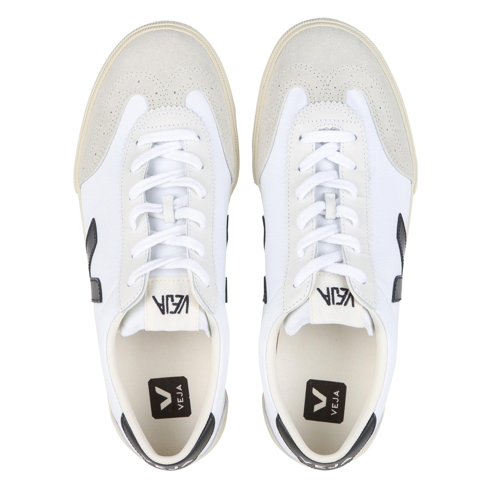 VOLLEY CANVAS - Basket basses | Multicolore