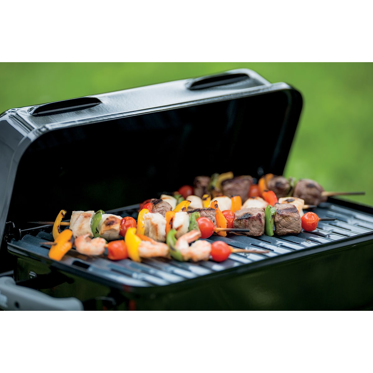 Weber Go Anywhere gassgrill