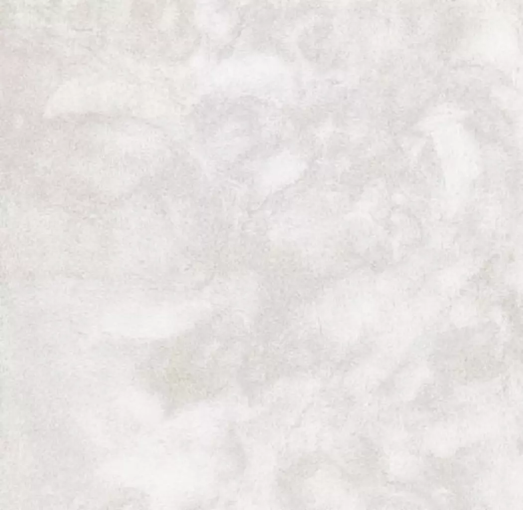 Fellteppich Tender 60 x 90 cm