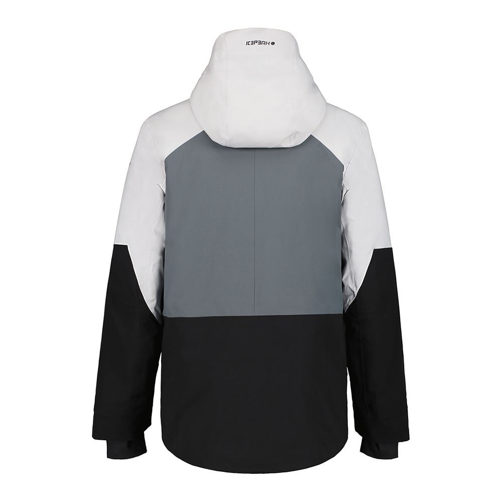 Icepeak CARBON - Veste ski Homme light grey