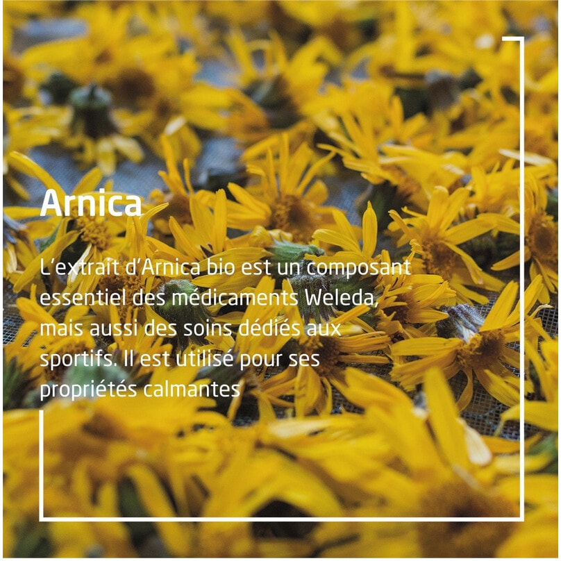 Bain récupération sportive - Arnica - 200 ml